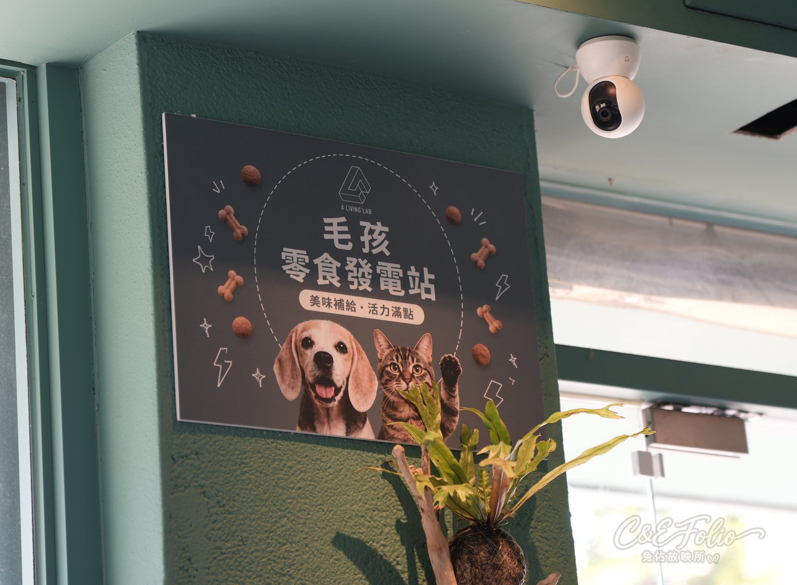 店內牆上的毛小孩零食餐點海報