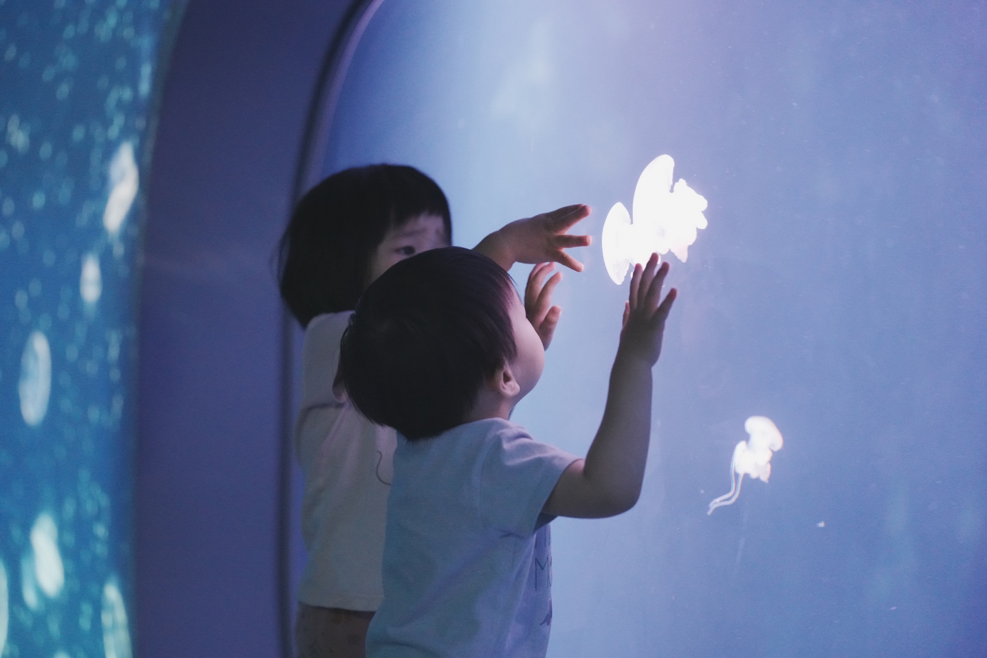 姊姊和弟弟站在水族館的水母缸前,弟弟伸手去碰玻璃上的水母