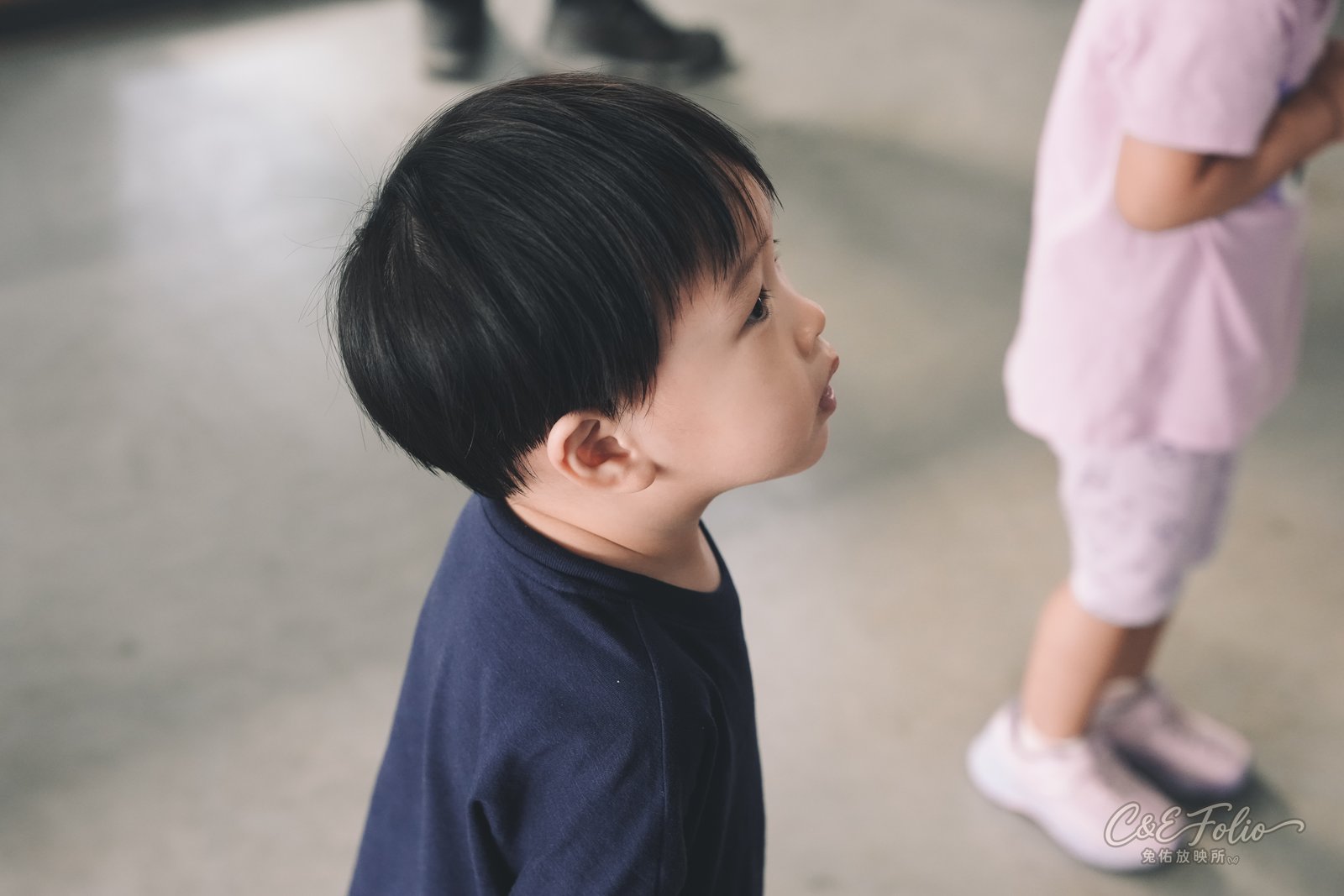 弟弟抬頭看室內的動物